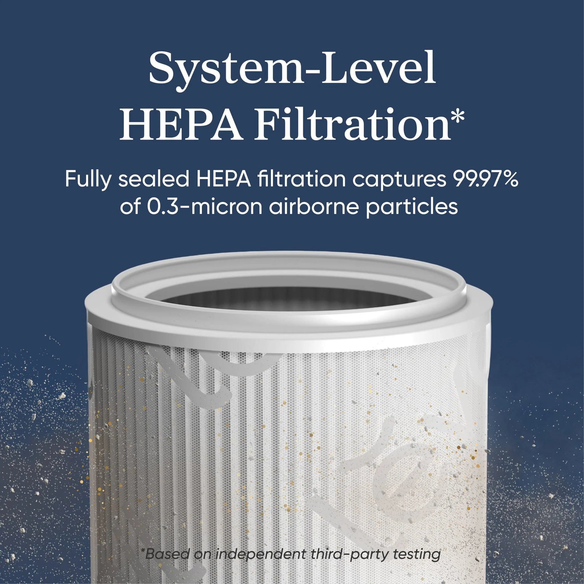 Wildfire Protection Bundle - Levoit Eleva™ 300X + Premium Filter