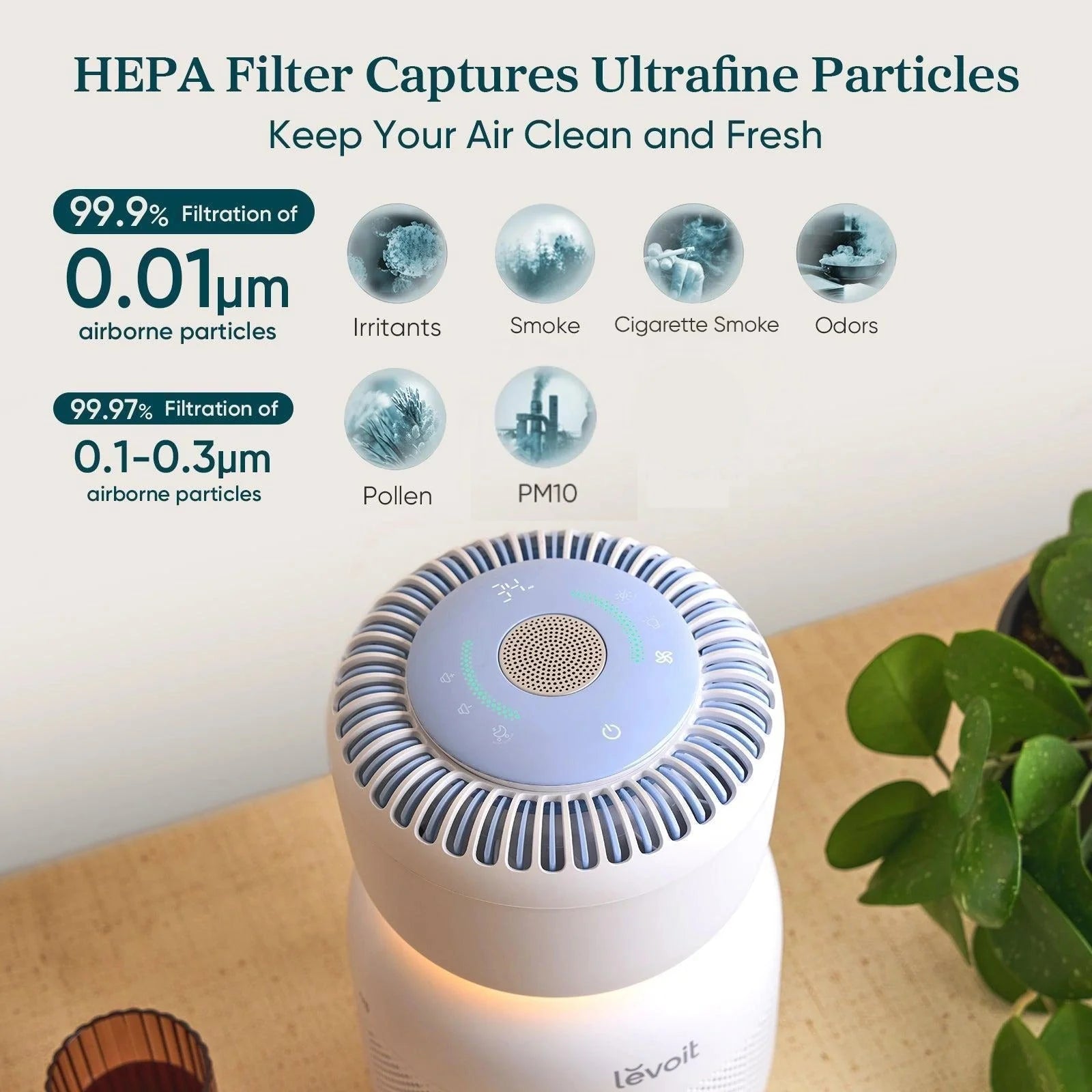 Levoit Sprout Air Purifier