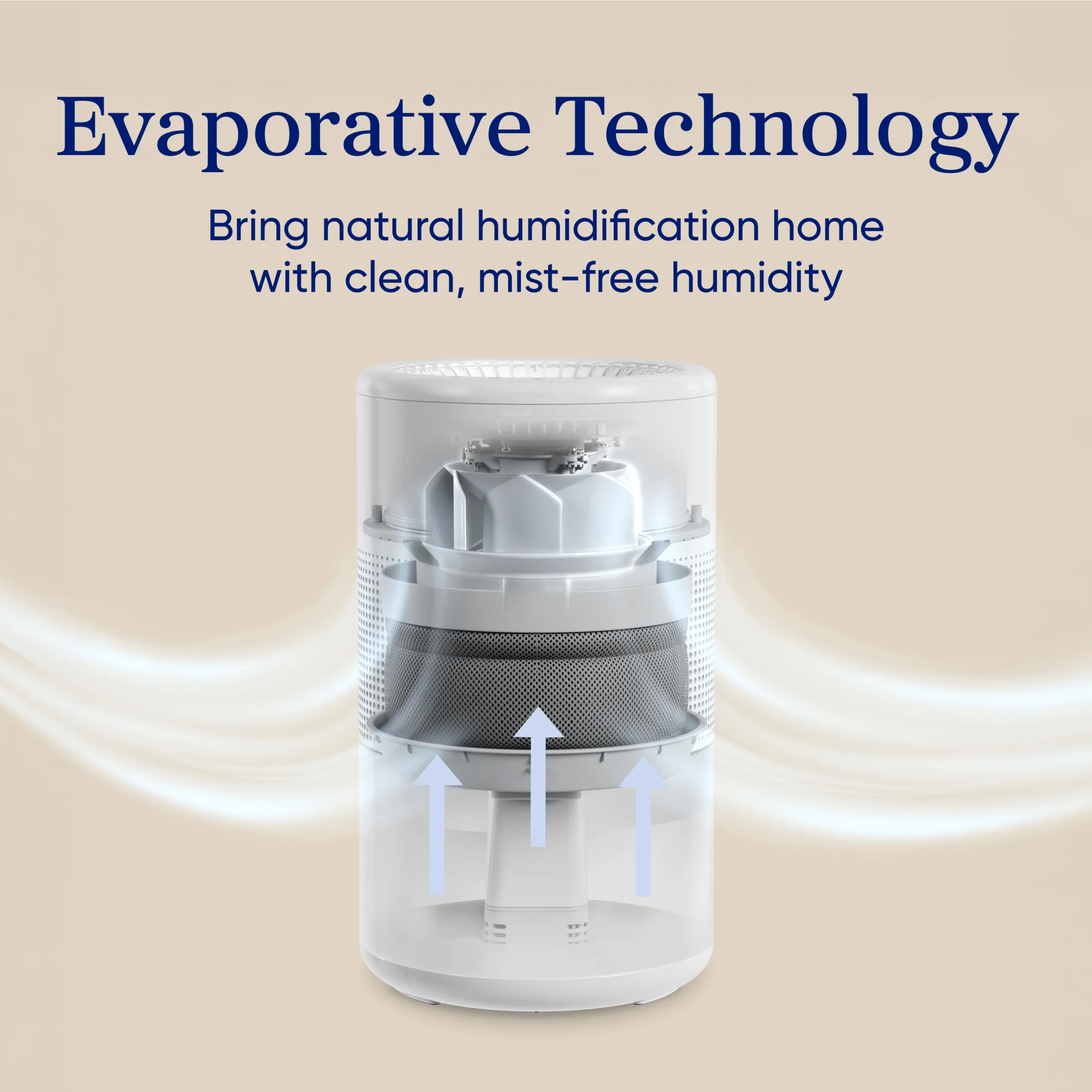 Levoit Superior™ Studio Evaporative Humidifier